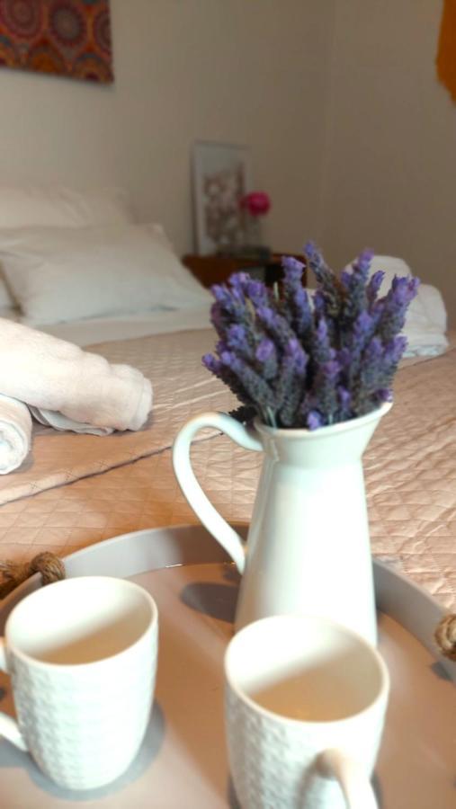 Agritourism Cottage Near Sitia Bagian luar foto