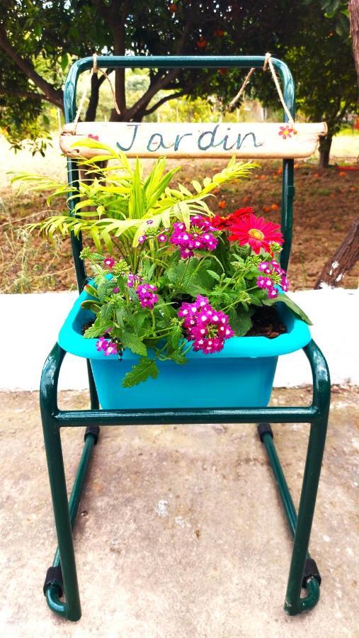 Agritourism Cottage Near Sitia Bagian luar foto